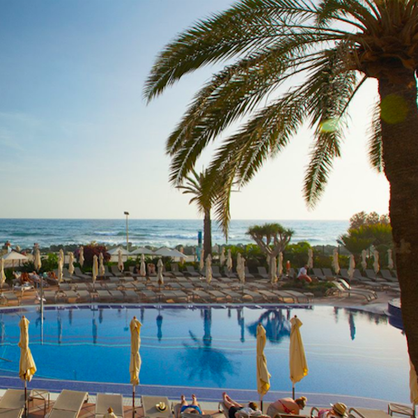 Pool, umbrellas, palm tree and sea view at IFA Faro Hotel