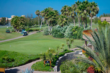 Drive your buggy from your room at Las Madrigueras Hotel right on to the golf course