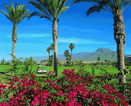 GOLF AMATEUR DE TENERIFE golf amateur de tenerife:
